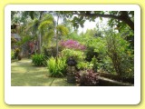 villa-jempiring-21r